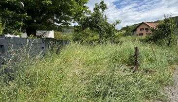 Terrain à construire pour maison libre des 4 côtés à vendre à Mensdorf (Commune de Betzdorf)