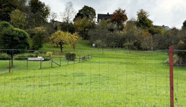 Terrain avec projet de construction autorisée pour maison jumelée à vendre à Oberanven (Commune de Niederanven)